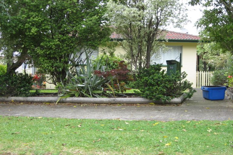 Photo of property in 30 Hooper Avenue, Pukekohe, 2120