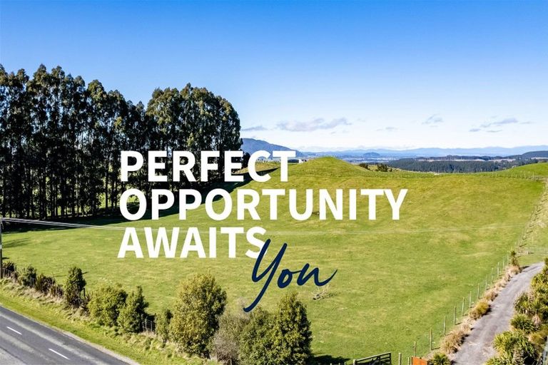 Photo of property in 557 Palmer Mill Road, Wairakei, Taupo, 3384