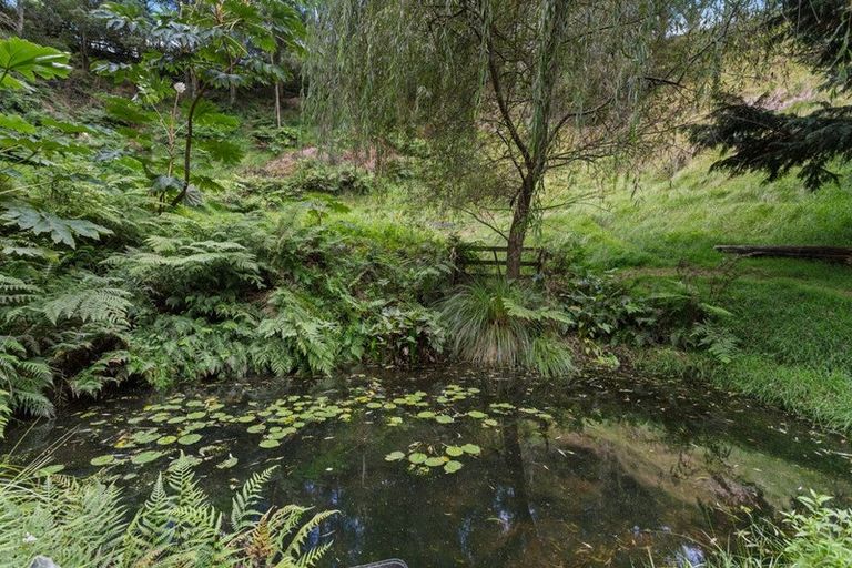 Photo of property in 763b White Pine Bush Road, White Pine Bush, Whakatane, 3191