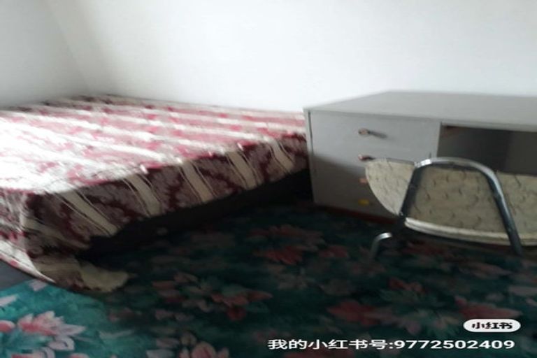 Photo of property in 43 Balgay Street, Upper Riccarton, Christchurch, 8041