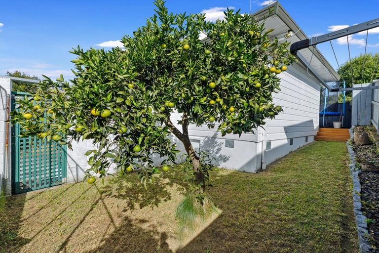 Photo of property in 36 The Drive, Brookfield, Tauranga, 3110