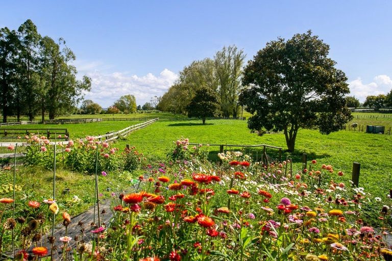 Photo of property in 129 Maungakawa Road, Cambridge, 3496