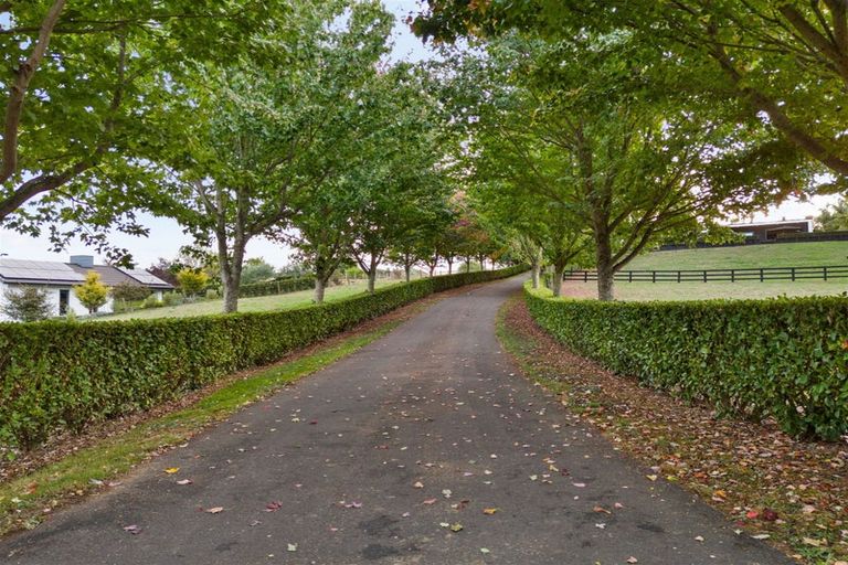 Photo of property in 42b Moxham Road, Te Awamutu, 3879