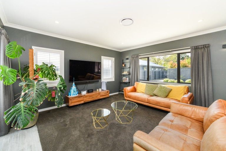 Photo of property in 14a Colombo Street, Hokowhitu, Palmerston North, 4410