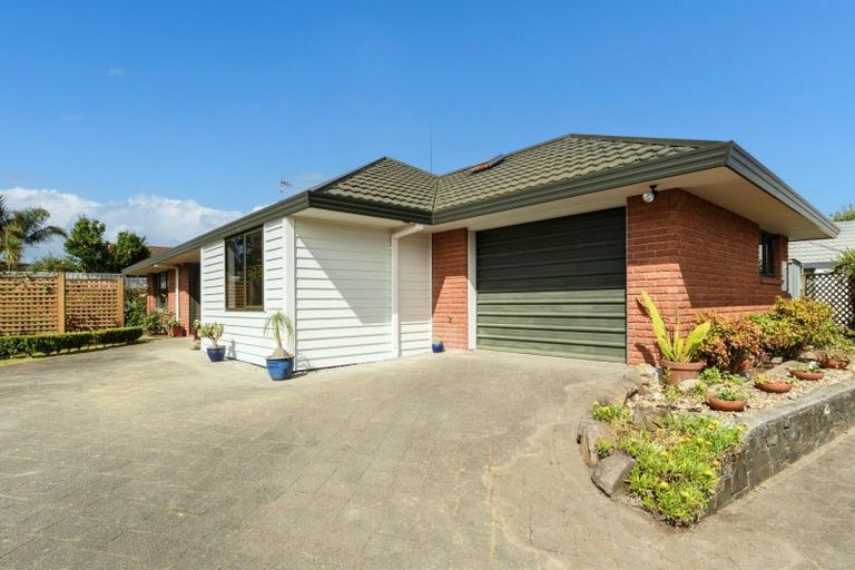 Photo of property in 171c Maungatapu Road, Maungatapu, Tauranga, 3112