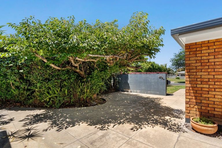 Photo of property in 11 Berescourt Place, Mount Maunganui, 3116