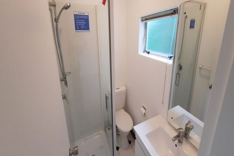 Photo of property in 64 Rolleston Street, Mount Cook, Wellington, 6021