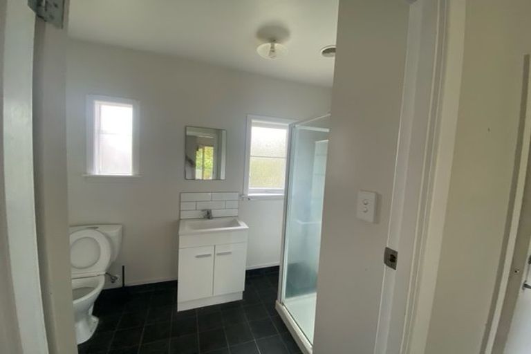 Photo of property in 162 Hutchinson Avenue, New Lynn, Auckland, 0600