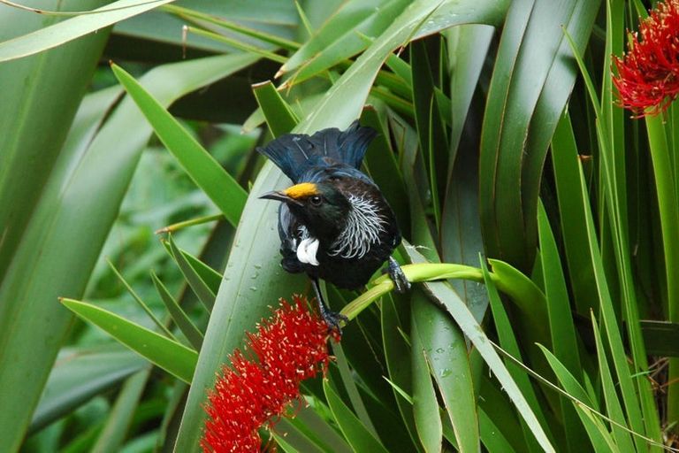 Photo of property in 203 Houghton Bay Road, Houghton Bay, Wellington, 6023