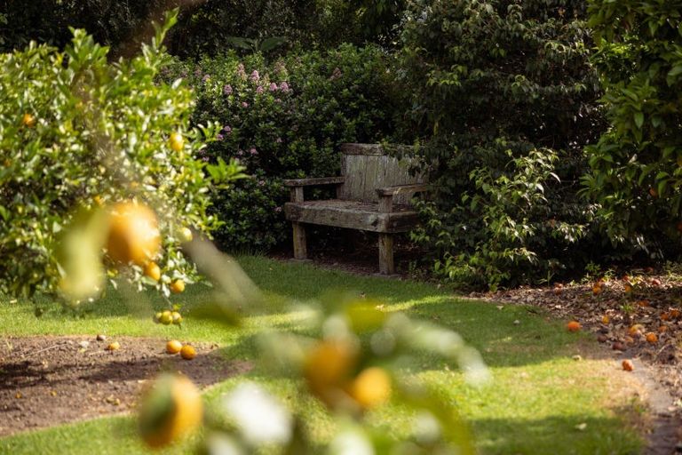 Photo of property in 14 Grasmere Way, Bethlehem, Tauranga, 3110