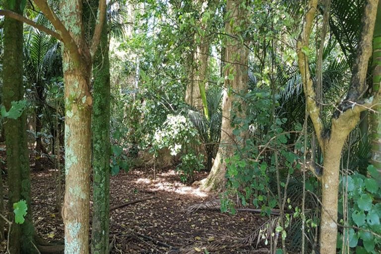 Photo of property in 47 Waikuku Road, Waimate North, Kerikeri, 0472