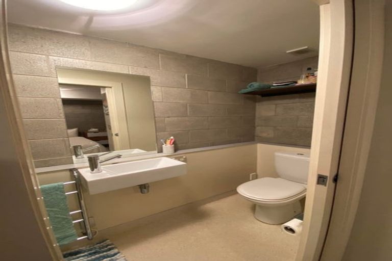 Photo of property in 3uh Papawai Terrace, Mount Cook, Wellington, 6021
