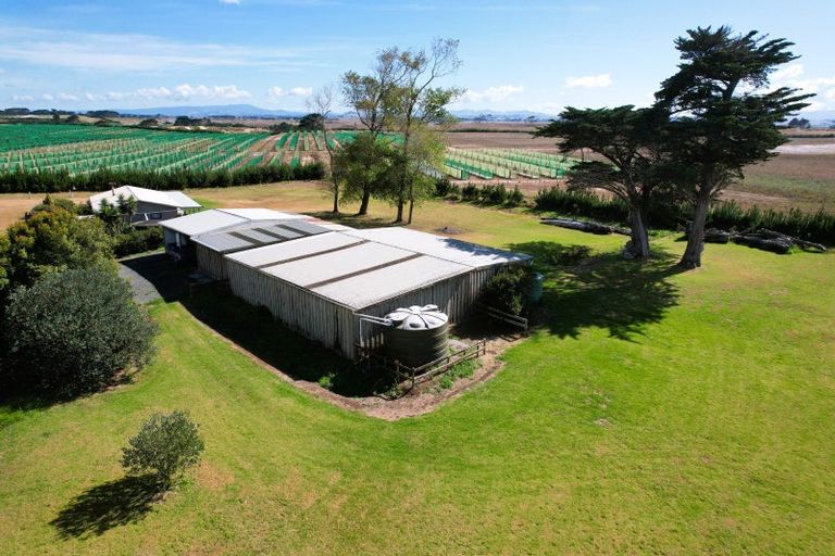Photo of property in 259 Redhill Cemetery Road, Te Kopuru, Dargaville, 0371