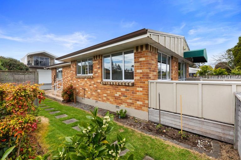 Photo of property in 196r Moffat Road, Bethlehem, Tauranga, 3110