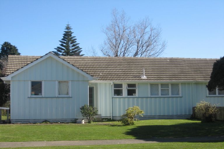 Photo of property in 8 Hinemoa Street, Levin, 5510