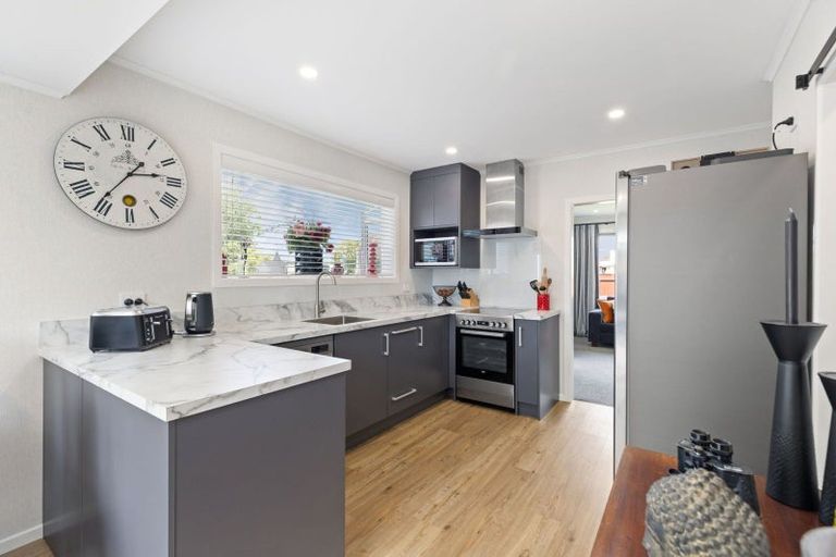 Photo of property in 19 Battersea Place, Roslyn, Palmerston North, 4414