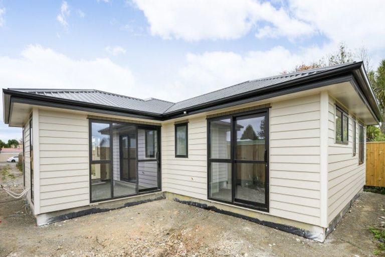 Photo of property in 103a Featherston Street, Takaro, Palmerston North, 4412