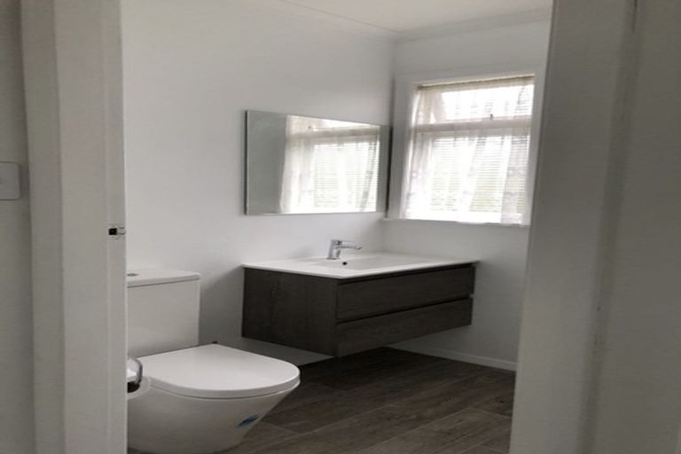 Photo of property in 18 Dudley Street, Levin, 5510