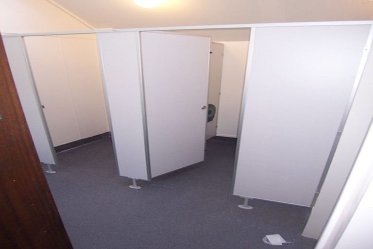 Photo of property in 113 Coromandel Street, Newtown, Wellington, 6021