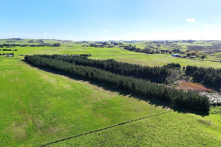 Photo of property in 413a Baylys Coast Road, Dargaville, 0377