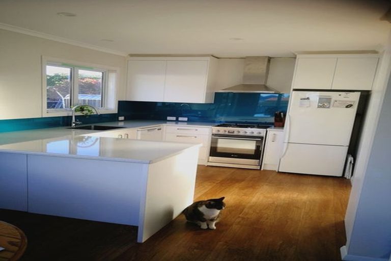 Photo of property in 13 Surrey Street, Stratford, 4332