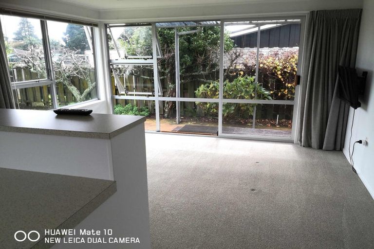 Photo of property in 12 Cedar Grove, Matua, Tauranga, 3110