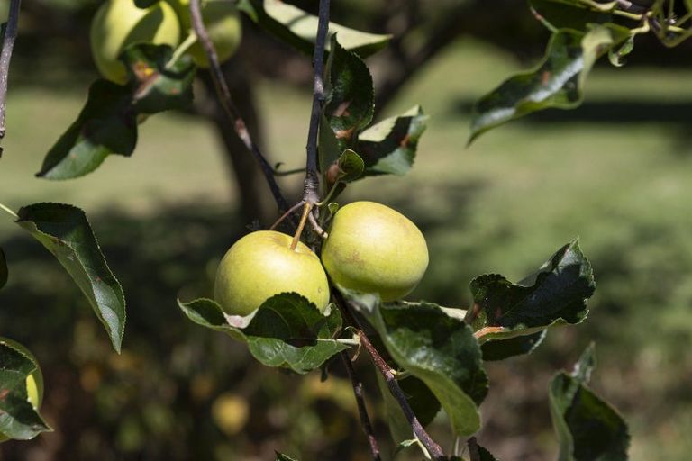 Photo of property in 810 Gill Road, Kaitaia, 0483