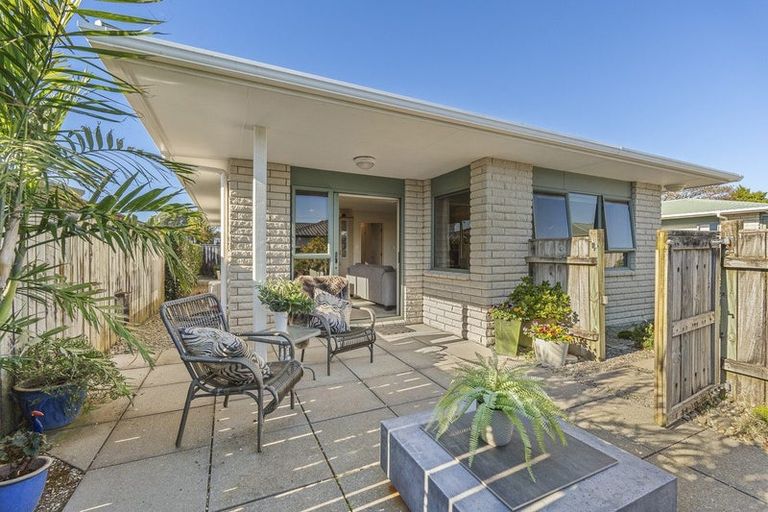 Photo of property in 153a Carrington Street, Lower Vogeltown, New Plymouth, 4310