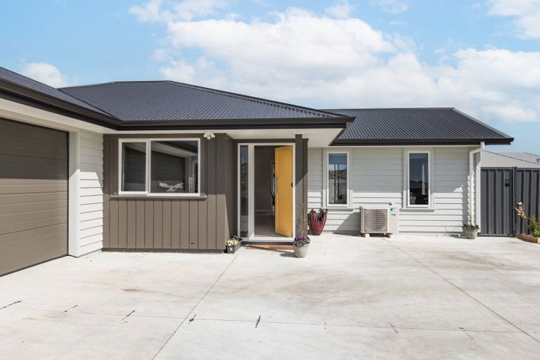 Photo of property in 93 Belgrove Drive, Waipukurau, 4200