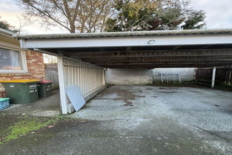 Photo of property in 141c Galloway Street, Hamilton East, Hamilton, 3216