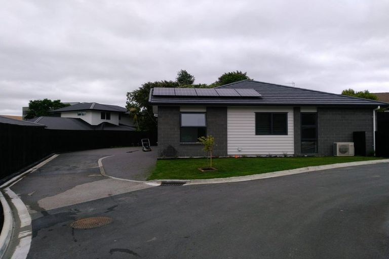 Photo of property in 2/6 Landell Place, Harrowfield, Hamilton, 3210