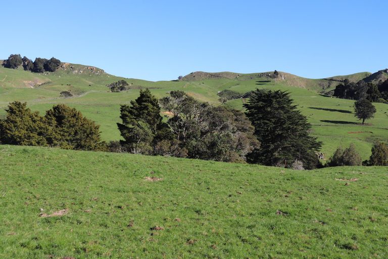 Photo of property in 1141 Waingaro Road, Glen Massey, 3793
