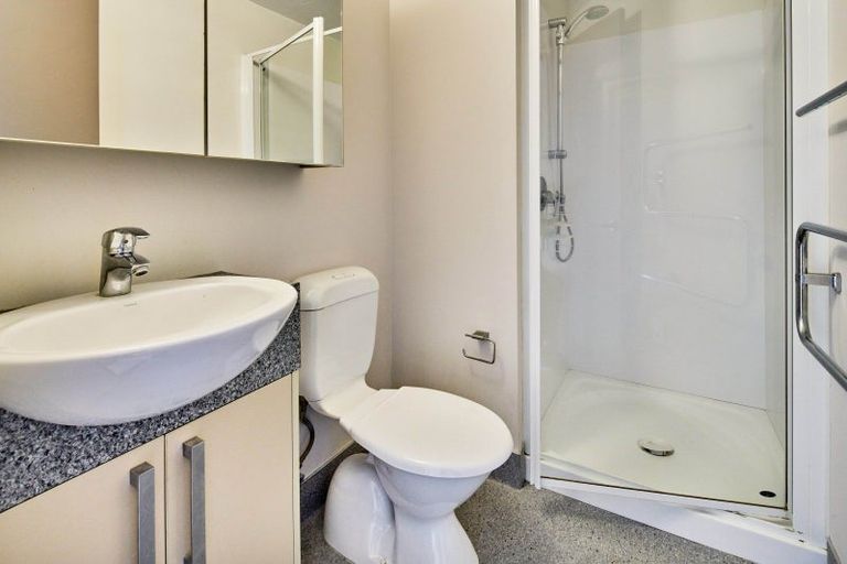 Photo of property in Dual Apartments, 510/142u Vivian Street, Te Aro, Wellington, 6011