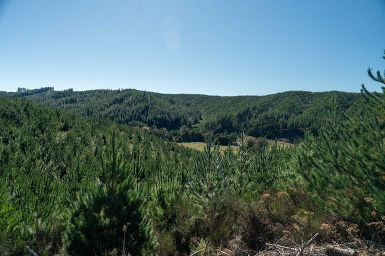 Photo of property in 96 Sunridge Park Road, Morrinsville, 3375
