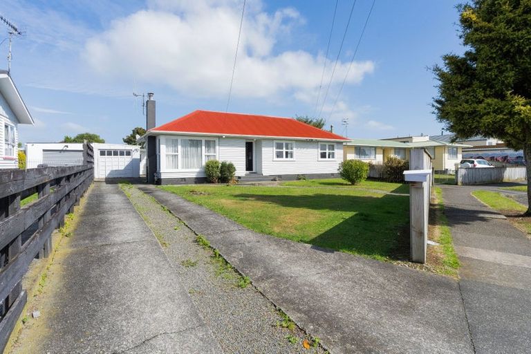 Photo of property in 16 Bledisloe Street, Levin, 5510