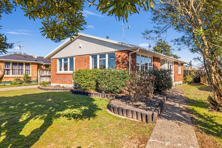 Photo of property in 19 Bellmont Avenue, Chartwell, Hamilton, 3210