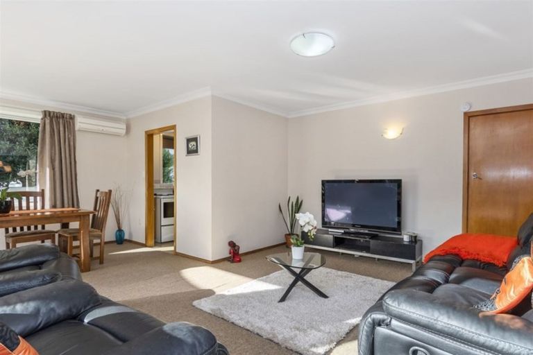 Photo of property in 241a Maungatapu Road, Maungatapu, Tauranga, 3112
