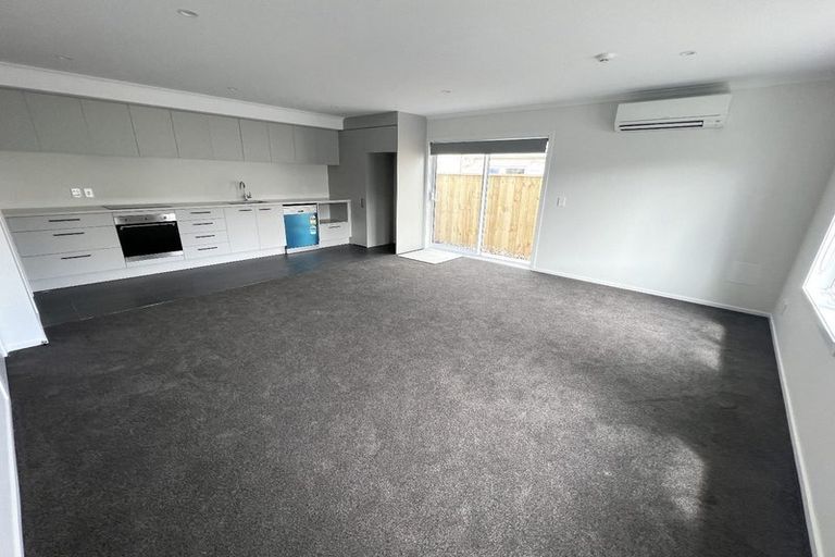 Photo of property in 101 Daniell Street, Newtown, Wellington, 6021