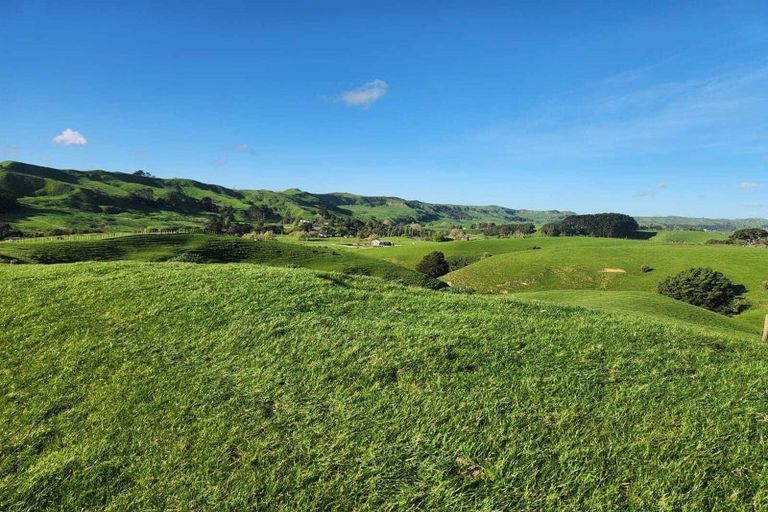 Photo of property in 899 Te Akau Road, Te Akau, Ngaruawahia, 3793