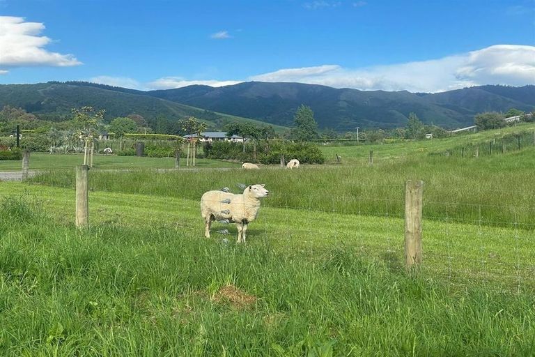 Photo of property in 4 Cranfield Place, Waimate, 7924