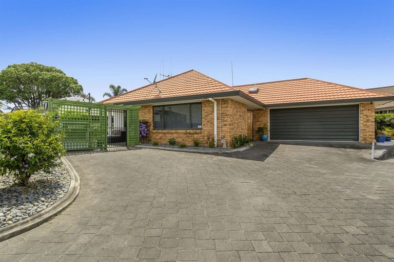 Photo of property in 169c Maungatapu Road, Maungatapu, Tauranga, 3112
