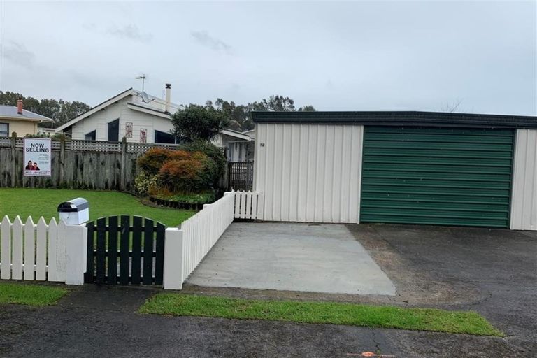 Photo of property in 12 Sarten Street, Waitara, 4320