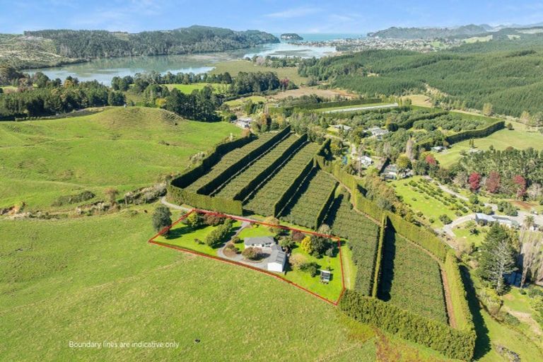 Photo of property in 24 Julian Road, Onemana, Whangamata, 3691