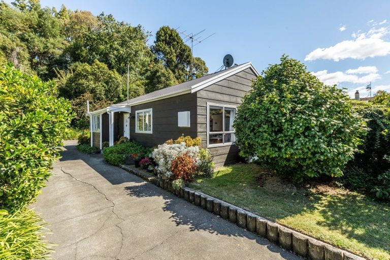 Photo of property in 24 Von Dadelszen Place, Havelock North, 4130