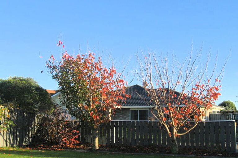 Photo of property in 137 Langdale Avenue, Paraparaumu, 5032