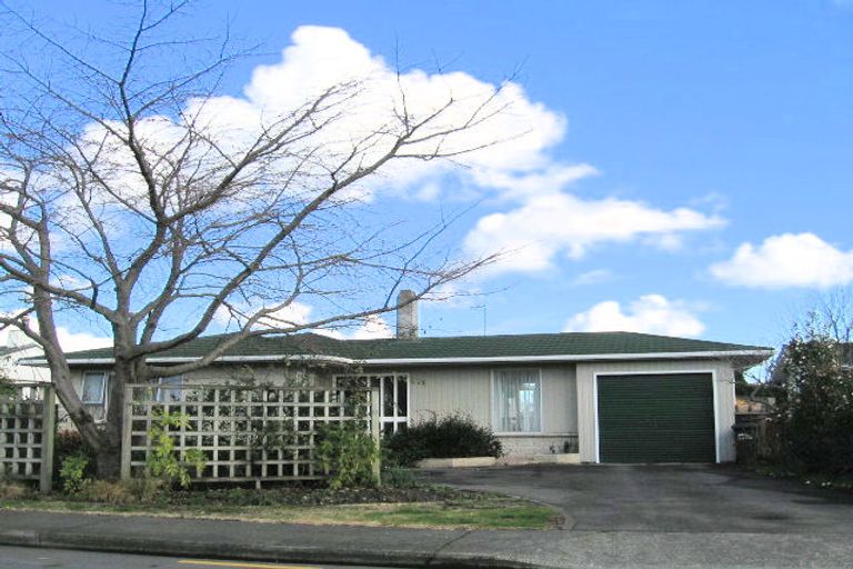 Photo of property in 509 Poplar Place, Akina, Hastings, 4122
