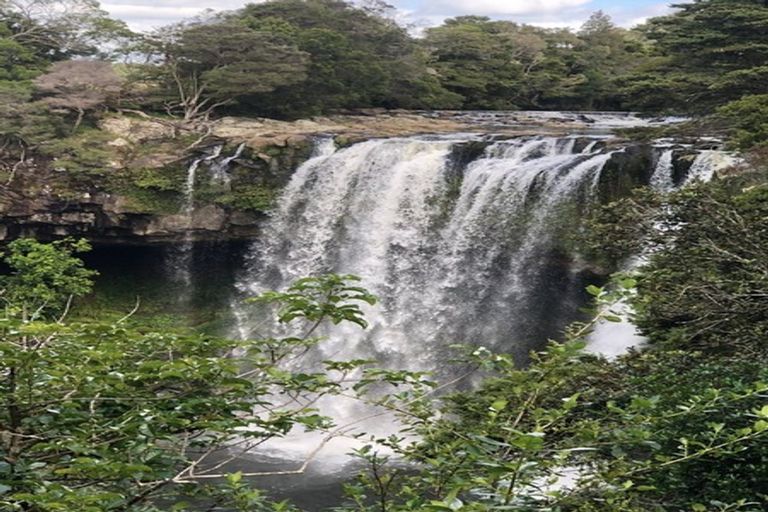 Photo of property in 23 Awhitu Road, Kerikeri, 0230