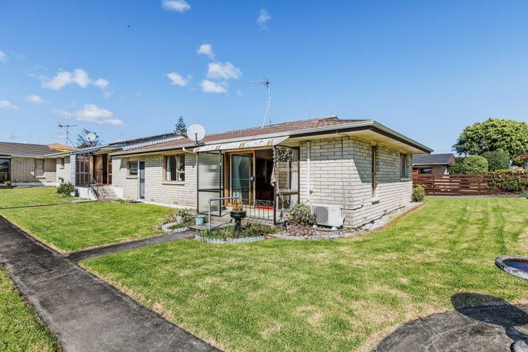 Photo of property in 1/1246 Cameron Road, Gate Pa, Tauranga, 3112