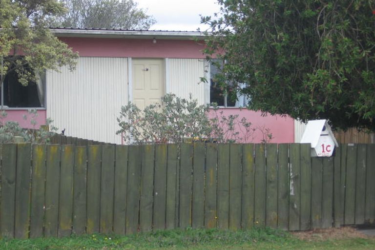 Photo of property in 1/1 Lingfield Street, Glenfield, Auckland, 0629