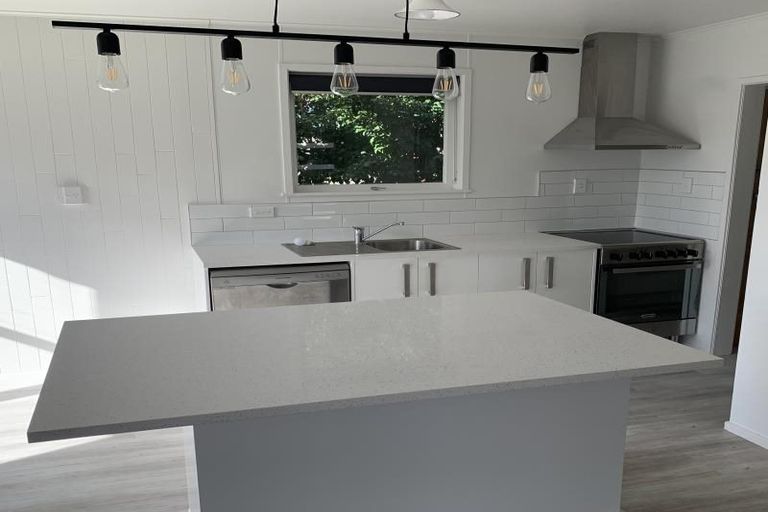 Photo of property in 55 Larnoch Road, Henderson, Auckland, 0610